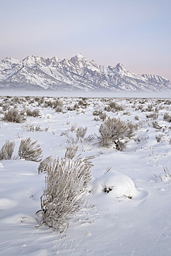 Teton Range at Dawn in winter, Grand Teton National Park, Wyoming, United States of America, North America