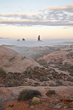 Balanced Rock on a foggy morning at sunrise, Arches National Park, Utah, United States of America, North America