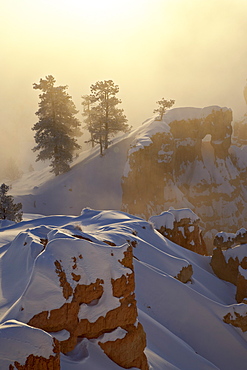 Foggy sunrise at Sunrise Point with snow, Bryce Canyon National Park, Utah, United States of America, North America