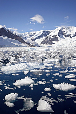 Ice chunks, Neko Harbor, Antarctic Peninsula, Antarctica, Polar Regions