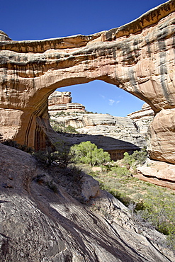 Sipapu Natural Bridge, Natural Bridges National Monument, Utah, United States of America, North America