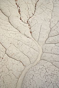 Erosion patterns in a small drainage, Bisti Wilderness, New Mexico, United States of America, North America