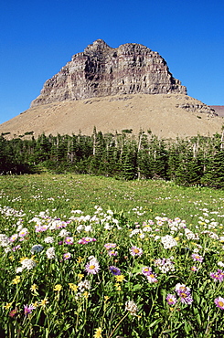 Logan Pass, Glacier National Park, Montana, United States of America, North America