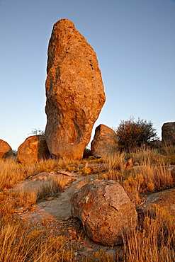 Boulder at sunset, City of Rocks State Park, New Mexico, United States of America, North America