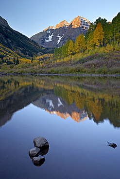 Maroon Bells reflected in Maroon Lake with fall color, White River National Forest, Colorado, United States of America, North America