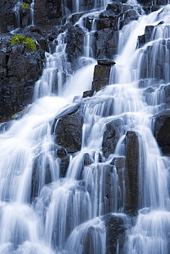 Detail of waterfall on Sneffels Creek, Yankee Boy Basin, Uncompahgre National Forest, Colorado, United States of America, North America