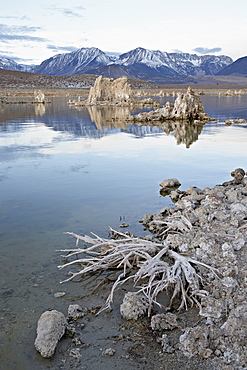 Tufa formations and shore, Mono Lake, California, United States of America, North America