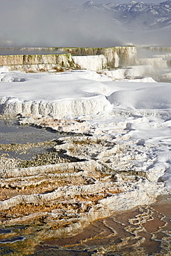 Main Terrace Hot Spring with snow, Mammoth Hot Springs, Yellowstone National Park, UNESCO World Heritage Site, Wyoming, United States of America, North America