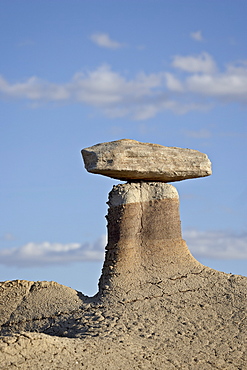 Hoodoo, Bisti Wilderness, New Mexico, United States of America, North America