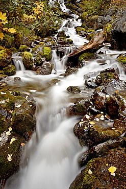 Cascade at Pioneer Falls, Alaska, United States of America, North America