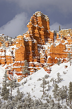 Red rock formations, Red Canyon, Dixie National Forest, Utah, United States of America, North America