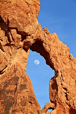 Near-full moon rising through an arch, Valley of Fire State Park, Nevada, United States of America, North America