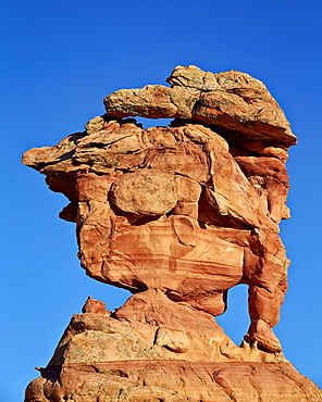 Sandstone formation, Coyote Buttes Wilderness, Vermilion Cliffs National Monument, Arizona, United States of America, North America