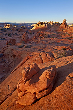 Sandstone formations, Coyote Buttes Wilderness, Vermilion Cliffs National Monument, Arizona, United States of America, North America