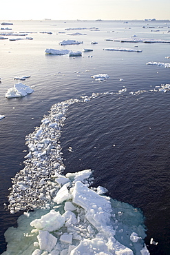 Icebergs off Antarctic Peninsula, Antarctica, Polar Regions