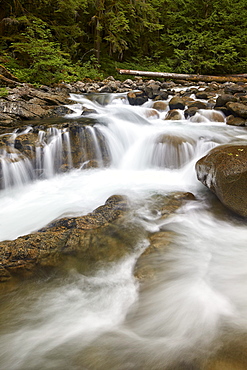 Cascades on Deception Creek, Mount Baker-Snoqualmie National Forest, Washington, United States of America, North America