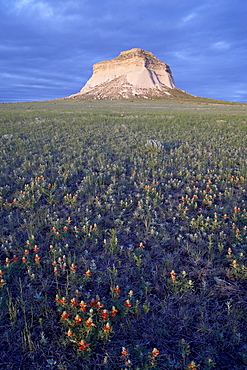 Pawnee Butte, Pawnee National Grassland, Colorado, United States of America, North America