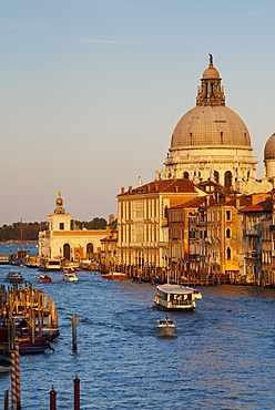 The Church of Santa Maria della Salute and the Grand Canal, from the Accademia Bridge, Venice, UNESCO World Heritage Site, Veneto, Italy, Europe