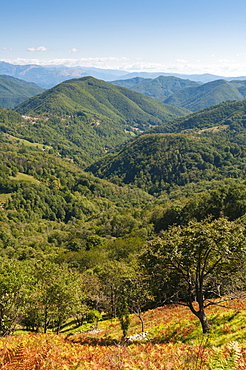 Pescaglia Mountains, Apuan Alps (Alpi Apuane), Lucca Province, Tuscany, Italy, Europe