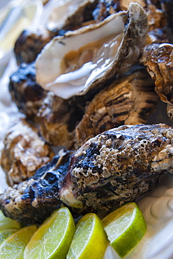 Oysters, Kilkenny, County Kilkenny, Leinster, Republic of Ireland (Eire), Europe