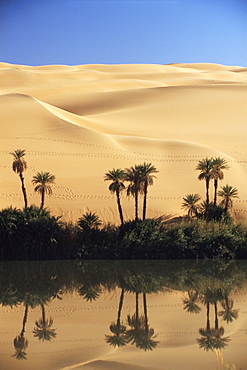 Oum el Ma (Umm el Ma) Lake, Mandara Valley, Southwest desert, Libya, North Africa, Africa