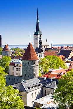 Medieval town walls and spire of St. Olav's church, Toompea hill, UNESCO World Heritage Site, Estonia, Baltic States, Europe