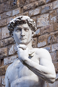 The David, by Michelangelo, Palazzo Vecchio, Piazza Signoria, Florence (Firenze), UNESCO World Heritage Site, Tuscany, Italy, Europe