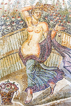 Roman mosaic, Carthage National Museum, Byrsa Hill, Carthage, UNESCO World Heritage Site, Tunis, Tunisia, North Africa, Africa