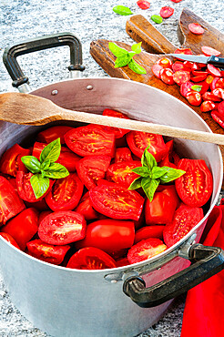 Preparing tomato sauce with tomatoes and basil, for winter time, Florence, Tuscany, Italy, Euruope