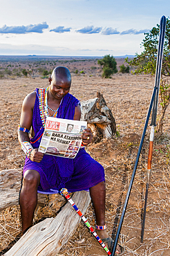 Maasai in the bush reading newspaper, Mwatate, Lualenyi Ranch, Kenya, East Africa, Africa