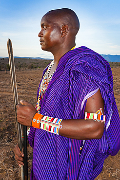 Maasai with spear in the bush, Mwatate, Lualenyi ranch, Kenya, East Africa, Africa