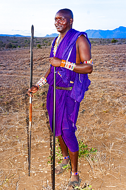 Maasai with spear and rungu in the bush, Mwatate, Lualenyi ranch, Kenya, East Africa, Africa