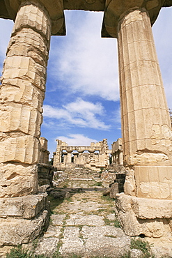 Zeus temple, Cyrene, UNESCO World Heritage Site, Cyrenaica, Libya, North Africa, Africa