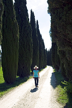 Road to Castello di Romena, Casentino, Arezzo, Tuscany, Italy, Europe