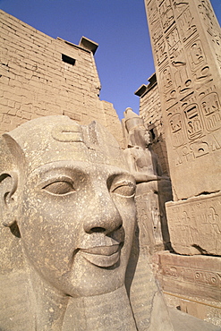 Statue of the pharaoh Ramses II, Luxor Temple, Thebes, UNESCO World Heritage Site, Egypt, North Africa, Africa