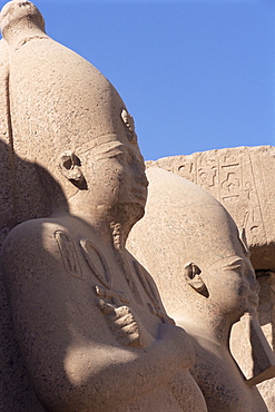 Statues of pharaohs in the Temple of Amun (Amon), Temple of Karnak, Thebes, UNESCO World Heritage Site, Egypt, North Africa, Africa