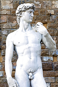 The David, Piazza della Signoria, Florence (Firenze), UNESCO World Heritage Site, Tuscany, Italy, Europe