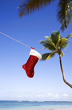 Christmas sock, Las Terrenas, Samana Peninsula, Dominican Republic, West Indies, Caribbean, Central America