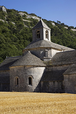 Senanque Abbey, Vaucluse, Provence, France, Europe