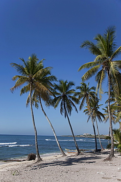 Boca Chica, Dominican Republic, West Indies, Caribbean, Central America