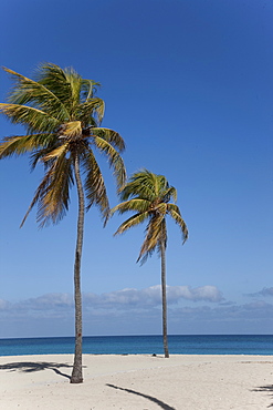 Playa del Este, Havana, Cuba, West Indies, Central America