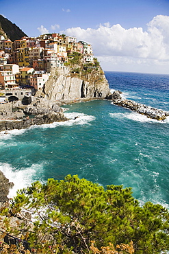 Manarola, Cinque Terre, UNESCO World Heritage Site, Liguria, Italy, Europe