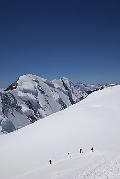 Climbers ascending Monte Rosa, Italian Alps, Piedmont, Italy, Europe