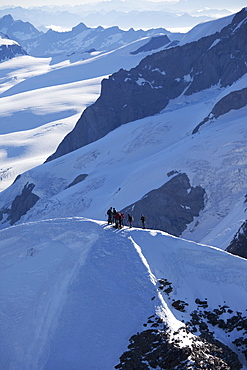 Climbers on Peak Castore in the Monte Rosa massif, Italian Alps, Piedmont, Italy, Europe