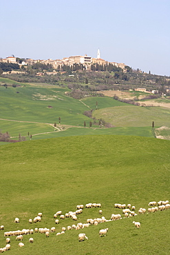 Pienza, Val D'Orcia, Tuscany, Italy, Europe