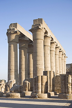 Colonnade, Luxor Temple, Luxor, Thebes, UNESCO World Heritage site, Egypt, North Africa, Africa