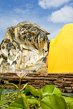 Water lily and Reclining Buddha, Ayuthaya, Thailand, Southeast Asia, Asia