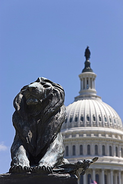 Lion Statue in front of the dome of the U.S. Capitol Building, Washington D.C., United States of America, North America