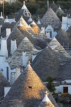 Rooftops of traditional trullos (trulli) in Alberobello, UNESCO World Heritage Site, Puglia, Italy, Europe