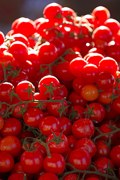 Cherry tomatoes for sale in market in Alberobello, Puglia, Italy, Europe